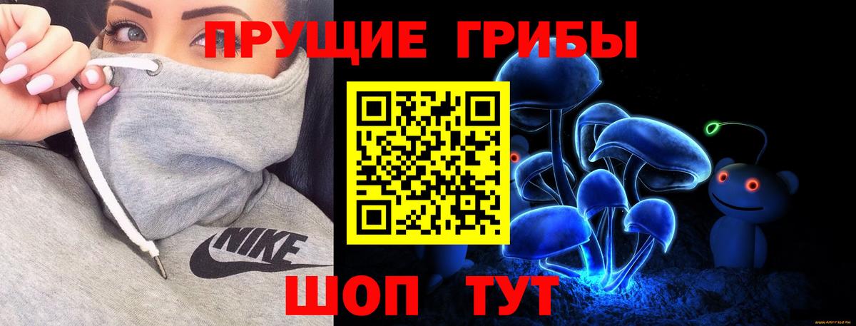 Галлюциногенные грибы мухоморы  магазин продажи наркотиков  Минусинск  Вход с VPN  Псилоцибиновые грибы GOLDEN TEACHER 